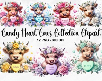 Watercolor Candy Heart Cows Collection Clipart, 12 PNG Valentines Clipart, Highland Cow Png, Pink Valentine Highland Cow Png, Commercial Use