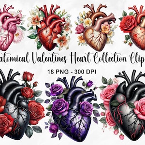 Aquarel anatomische Valentines hart clipart, 18 PNG Valentijnsdag clipart, gotische bloemen hart, Valentijnsdag bundel, commercieel gebruik