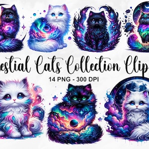 Aquarel hemelse katten collectie clipart, 14 PNG kat clipart, mystieke kat graphics, Starry mystieke kitten printables, commercieel gebruik