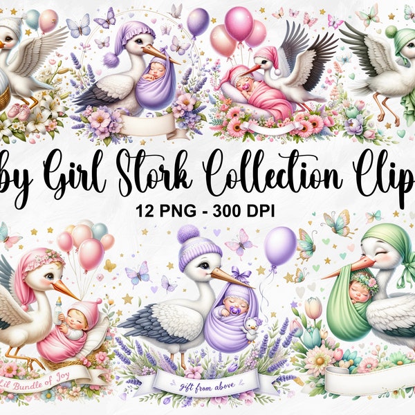 Watercolor Baby Girl Stork Collection Clipart, 12 PNG Stork Baby Girl Clipart, Newborn Baby Girl Clipart, Baby Arrival PNG, Commercial Use