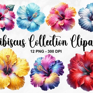 Aquarell Hibiskus Sammlung Clipart, 12 PNG Tropische Blumen Clipart, Hibiskusblume, Sommerblumen Clipart Bundle, kommerzielle Nutzung