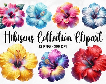 Watercolor Hibiscus Collection Clipart, 12 PNG Tropical Flower Clipart, Hibiscus Flower, Summer Flowers Clipart Bundle, Commercial Use