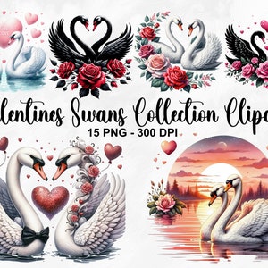 Acuarela San Valentín Cisnes Colección Clipart, 15 PNG San Valentín Clipart, Pareja de Cisnes PNG, Imágenes Prediseñadas de Cisne Romántico, Uso Comercial