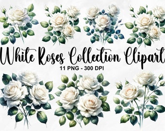 Puede incluir: Una colección de 11 ramos de rosas blancas con hojas verdes. Las rosas son ilustraciones de acuarela con un estilo vintage.  White Roses Collection Clipart 11 PNG - 300 DPI
