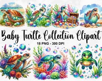 Watercolor Baby Turtle Collection Clipart, 18 PNG Sea Turtle Clipart, Baby Turtle PNG, Turtle Clipart, Baby Sea Turtle PNG, Commercial Use