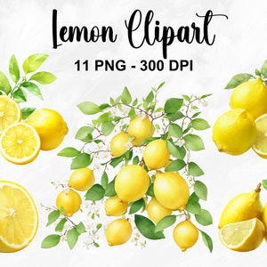 Clipart di limone acquerello, 11 clipart di limoni PNG, clipart di frutta, grafica di agrumi, PNG di limone, set di limone PNG digitale, uso commerciale