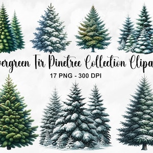Aquarel groenblijvende Fir Pinetree collectie clipart, 17 PNG kerstboom clipart, groenblijvende Pinetree clipart, winter PNG, commercieel gebruik