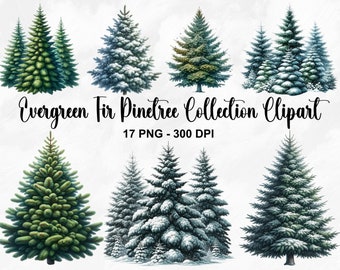 Watercolor Evergreen Fir Pinetree Collection Clipart, 17 PNG Christmas Tree Clipart, Evergreen Pinetree Clipart, Winter PNG, Commercial Use