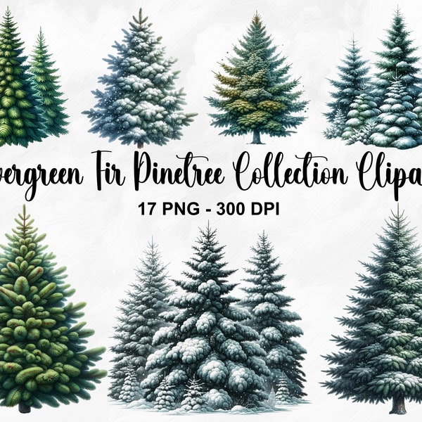 Watercolor Evergreen Fir Pinetree Collection Clipart, 17 PNG Christmas Tree Clipart, Evergreen Pinetree Clipart, Winter PNG, Commercial Use