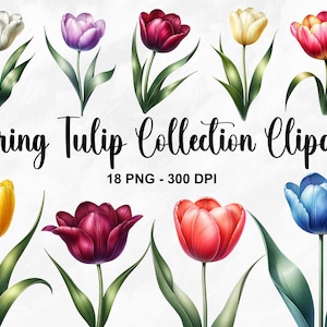 Aquarell Frühling Tulpe Sammlung Clipart, 18 PNG Blumen Clipart, Blumen Clipart, Frühlingsblumen, Tulpe Clipart Bundle, kommerzielle Nutzung