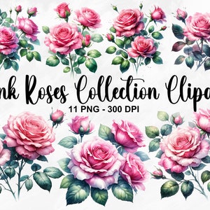 Watercolor Pink Roses Collection Clipart, 11 PNG Floral Clipart, Spring Clipart, Pink Rose Clipart, Roses Bouquet PNG, Commercial Use