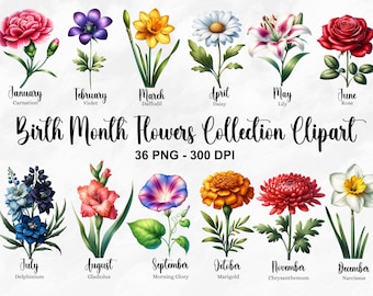 Watercolor Birth Month Flowers Clipart, 36 PNG Birth Month Flower Clipart, Botanical Clipart, DIY Birth Month Flower Bundle, Commercial Use