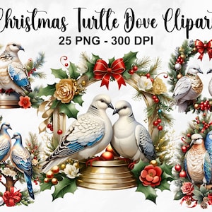 Clipart de pomba de tartaruga de Natal em aquarela, 25 PNG clipart de pomba de Natal, pássaro com chapéu de Papai Noel, pássaro de Natal, pomba de tartaruga, uso comercial