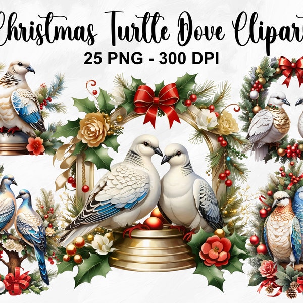 Watercolor Christmas Turtle Dove Clipart, 25 PNG Christmas Dove Clipart, Bird With Santa Hat, Christmas Bird, Turtle Dove, Commercial Use