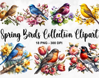 May include: A collection of 18 digital clipart images featuring colorful birds perched on blooming spring flowers. The birds are depicted in various poses, including singing, flying, and resting. The flowers include tulips, daffodils, and other spring blossoms. The images are high-resolution and perfect for crafting projects, scrapbooking, and digital design.
