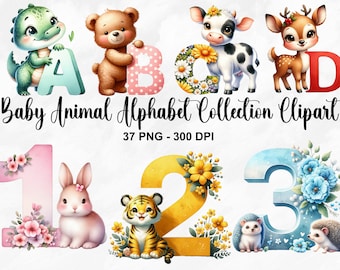 Aquarelle bébé animal Alphabet Collection Clipart, 37 PNG Clipart chambre d'enfant, animaux de A à Z, Alphabet PNG, Art animalier PNG, usage Commercial