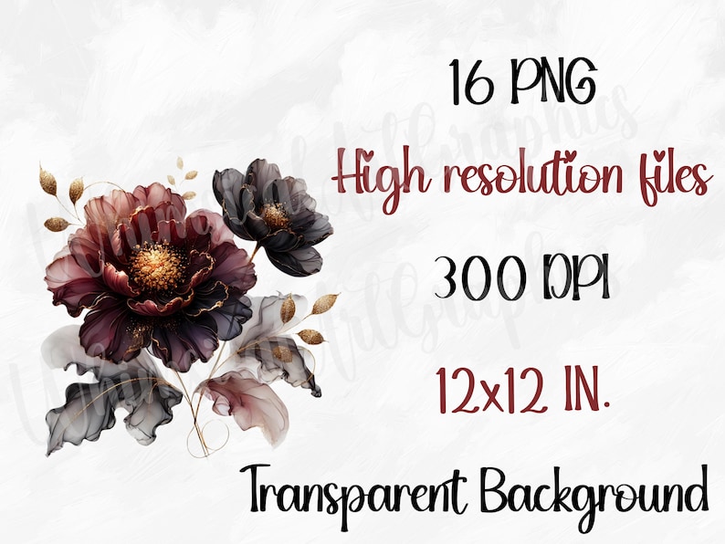 May include: A bouquet of burgundy and black flowers with gold accents. The flowers are arranged on a white background. 16 PNG high resolution files, 300 DPI, 12x12 IN. Transparent background.