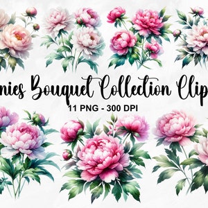 Clipart de coleção de buquê de peônias em aquarela, 11 PNG clipart de peônia rosa, impressão de peônias, clipart de aquarela de peônia, arte de peônia, uso comercial