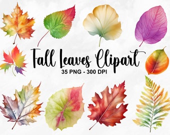 Watercolor Fall Leaves Clipart, 35 PNG Autumn Leaf Clipart, Fall Leaves PNG, Thanksgiving Clipart, Fall Season, Fall Decor, Commercial Use