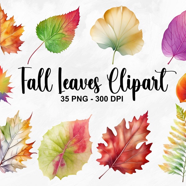 Watercolor Fall Leaves Clipart, 35 PNG Autumn Leaf Clipart, Fall Leaves PNG, Thanksgiving Clipart, Fall Season, Fall Decor, Commercial Use