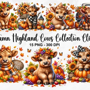 Clipart de vacas de outono em aquarela, 15 PNG clipart de outono, clipart de abóbora, animal bebê, pacote de clipart de vaca de outono Highland, uso comercial