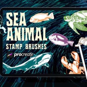 6 Sea Turtles Procreate Brush Stamps. Ocean Turtle (2777628)