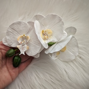 Op de afbeelding: Drie witte orchidee&euml;n met gele en bruine centra. De bloemen zijn in een cluster gerangschikt en worden in een hand gehouden.