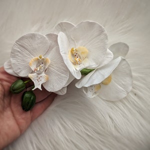 Op de afbeelding: Drie witte orchidee&euml;n met gele centra en bruine vlekken. De bloemen zijn in een tros gerangschikt en worden in een hand gehouden.