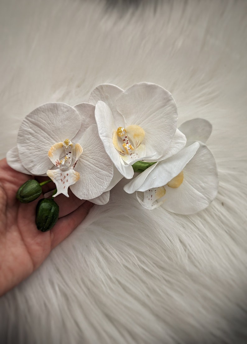 Op de afbeelding: Drie witte orchidee&euml;n met gele centra en bruine vlekken. De bloemen zijn in een tros gerangschikt en worden in een hand gehouden.