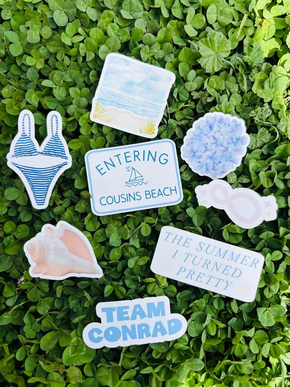 the summer I turned pretty sticker set
