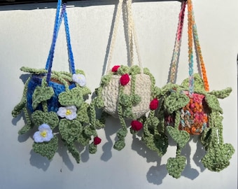 Crochet Plant