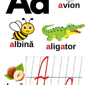 Alfabeto de ejercicios clase 1