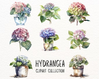 Hydrangea Clipart | INSTANT DOWNLOAD | Watercolor Hydrangea PNG | Commercial Use Clipart | Floral Graphics | Botanical Image