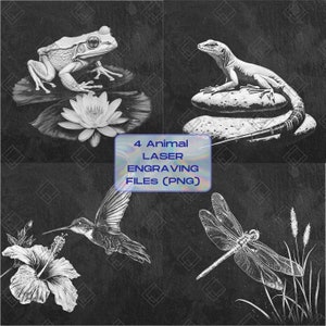 May include: Four black and white animal illustrations for laser engraving. The images include a frog on a lily pad, a lizard on a rock, a hummingbird with a flower, and a dragonfly with grass.