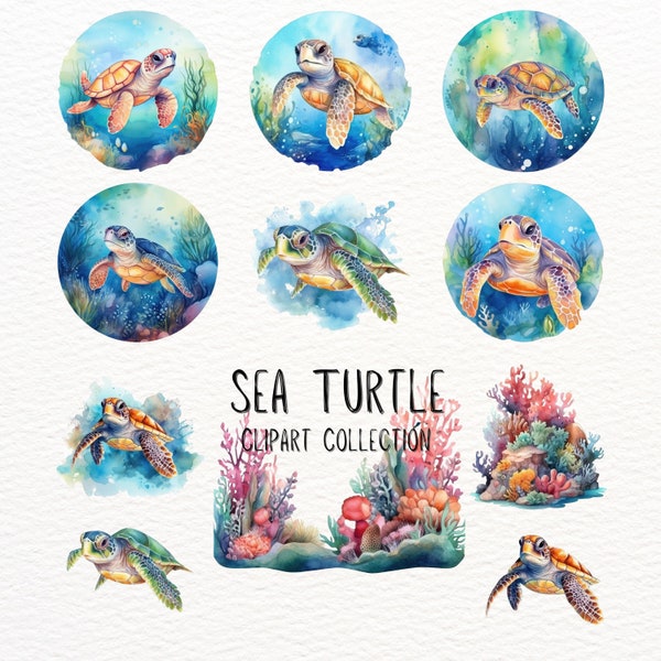 Sea Turtle PNG | INSTANT DOWNLOAD | Turtle Watercolor Clipart | Png files for sublimation | Commercial Use Clipart | Turtle Graphic