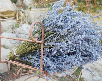Dried Lavender Bouquets – Hand Cut, Fragrant, Approx 18" Tall – Bridal, Home Decor