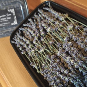 May include: A black plastic container filled with dried lavender sprigs. The container has a label that reads "Old School Lavender Farm Decorative Accent Picks".