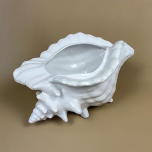 May include: A white ceramic seashell-shaped planter. The planter has a large opening and a textured surface, with a spiral base and spiky protrusions. The interior is smooth and white.
