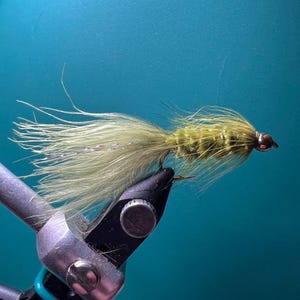 Beadhead Woolly Bugger - Olive