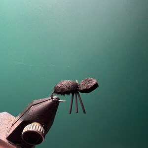 Beetle - Black