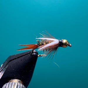 Principe Ninfa - Testa di perline