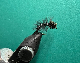 Caddis Pupa - Black