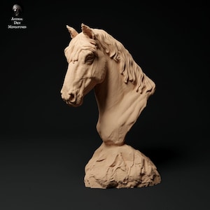 Konik Horse Bust - 3d Printed Scale Miniature by Animal Den