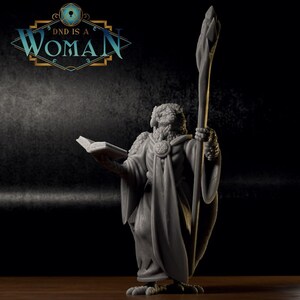 Aarakocra Wizard, Aira - 3d Printed Miniature by DND Is A Woman