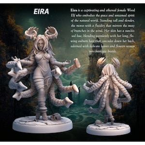 Elf Druid Eira - 3d Printed Miniature by Ravi (RKS3D)