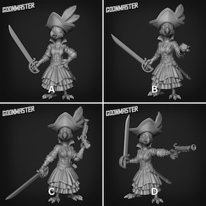 Female Parrot Pirate - 3d Printed Miniature Sculpted by Goon Master Games