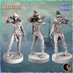 Robin - Pirate Girls - 3d Printed Miniature by Ravi (RKS3D)