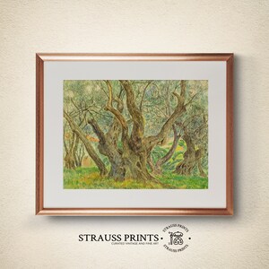 May include: A vintage art print of a painting depicting a grove of olive trees with gnarled trunks and branches. The trees are painted in shades of green, brown, and blue, with a hint of yellow in the background.