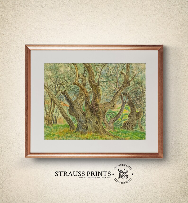 May include: A vintage art print of a painting depicting a grove of olive trees with gnarled trunks and branches. The trees are painted in shades of green, brown, and blue, with a hint of yellow in the background.