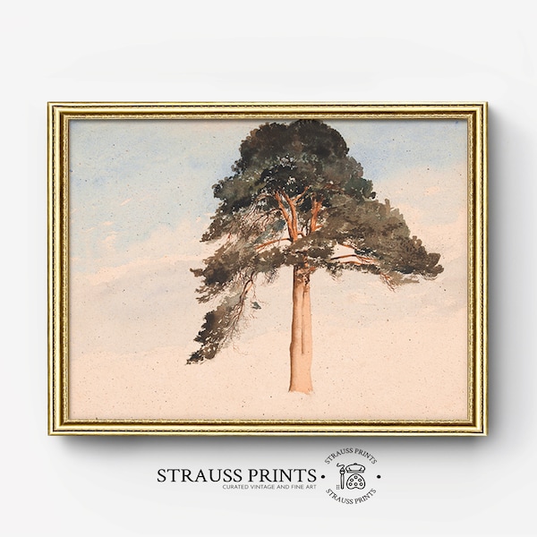 Solitary Scottish pine | Oil on Canvas | Oil Painting | Landscape | Fine Art | Wall Art | Printable Digital Download